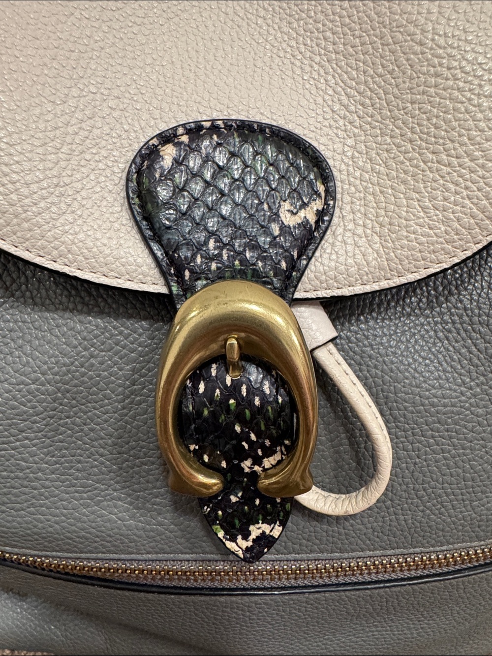 Coach Evie colorblock snakeskin cinch backpack with hangtag 76107 COA - Picture 9 of 13